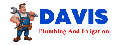 Trusted plumber in DE ARMANVILLE